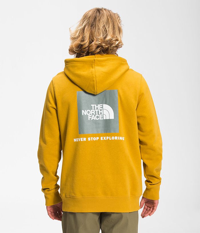 The North Face Hoodie Heren Box Nse Pullover DEJP17635 - Geel